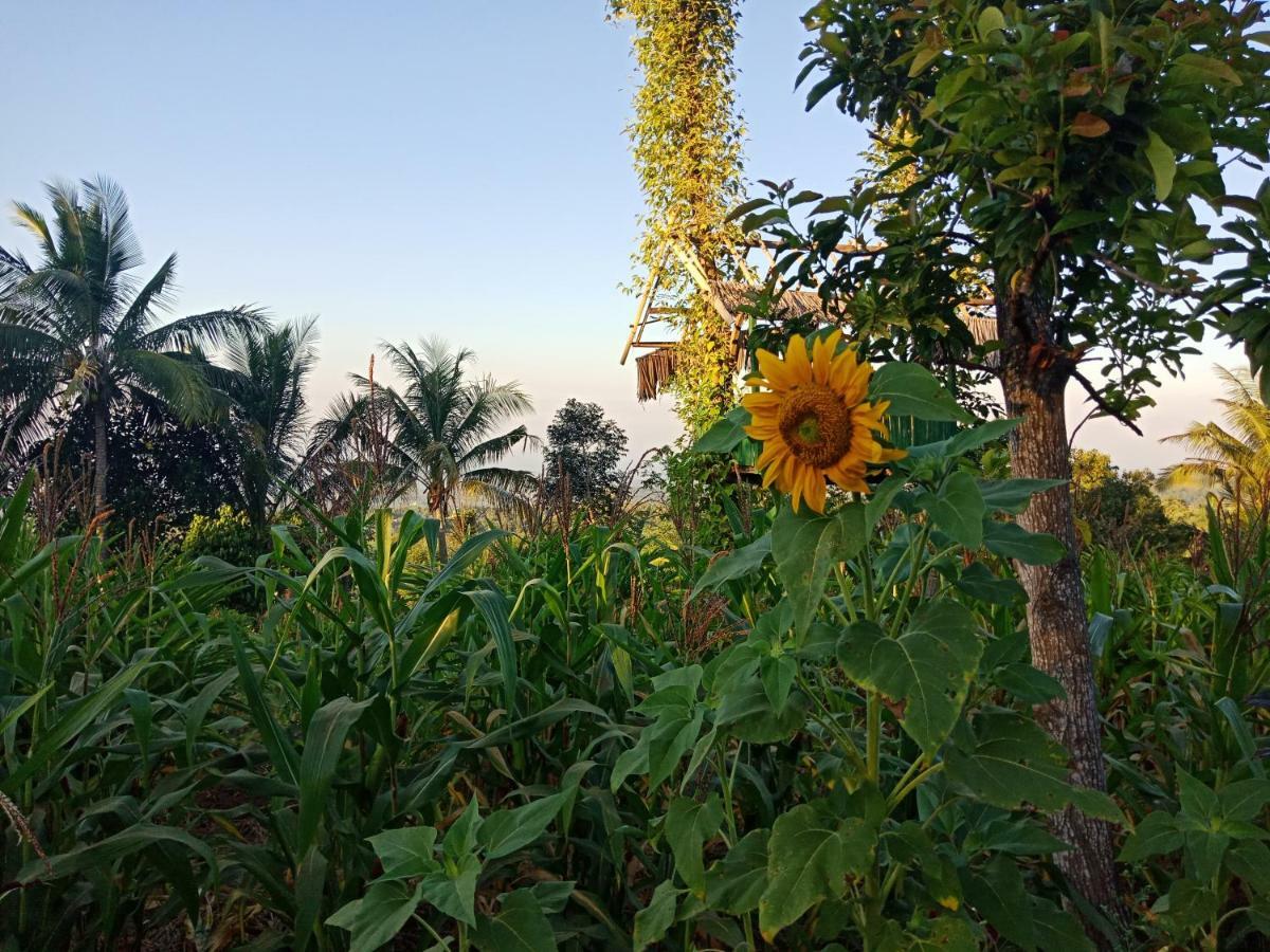 Mudung Keramat Homestay Sapit 外观 照片